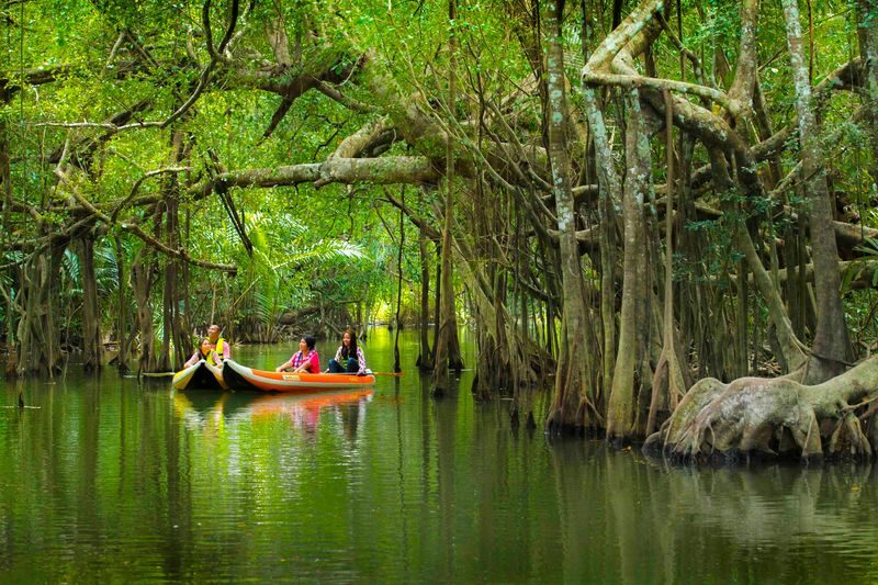 The Sri Phang Nga: Kayak, Trek & Waterfall Adventure From Khao Lak - At a glance: river, market, forest, and hot spring