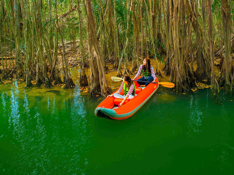 The Sri Phang Nga: Kayak, Trek & Waterfall Adventure From Khao Lak - A gentle paddle beneath Takuapa’s banyans