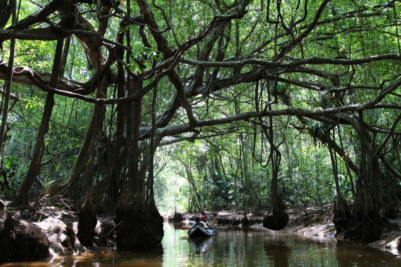 The Sri Phang Nga: Kayak, Trek & Waterfall Adventure From Khao Lak - Should you book the Little Amazon and waterfall day?