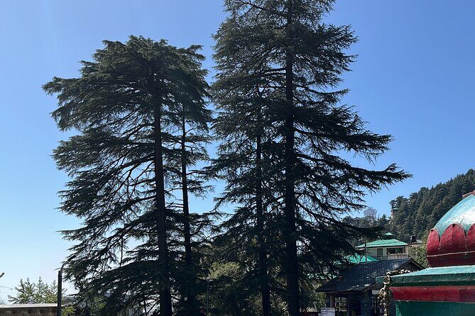 The Story Of Himalayas - A Journey from Amritsar to Dharamshala - Authentic Experiences That Stand Out