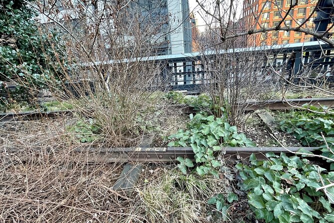 The Story of the High Line Elevated Park and Hudson Yards - The Sum Up