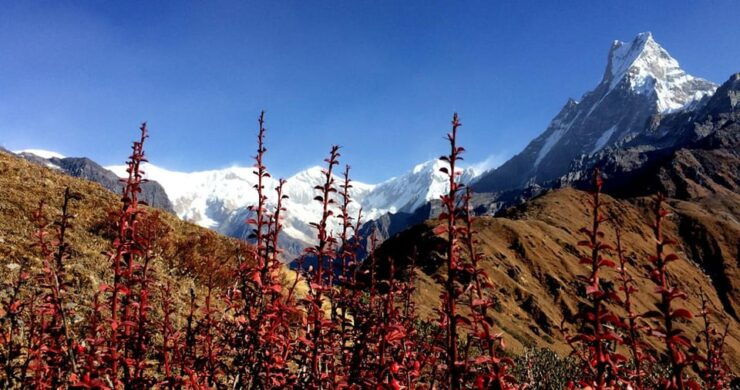 The Stunning Himalayan Landscape Provides Awe Inspiring View - Trekking Routes Overview
