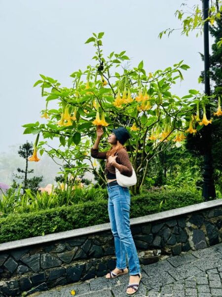 The Sunset of Ba Na Hills and the Golden Bridge - Tips for a Memorable Visit