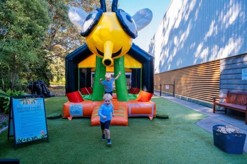 The Sunshine Coast: The Ginger Factory Play All Day - Good To Know