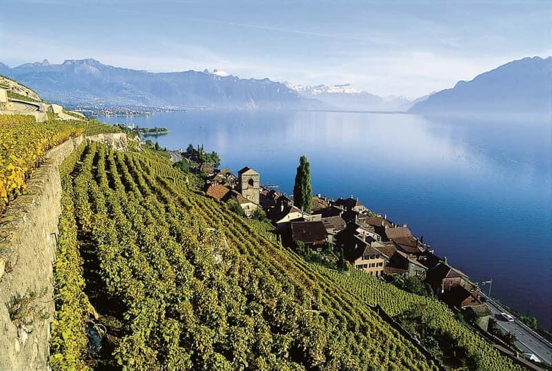 The Swiss Riviera Experience Exclusive Private Tour - The Swiss Riviera Experience: An In-Depth Private Tour of Vauds Jewel
