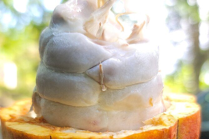 The Taino Route - The Sum Up