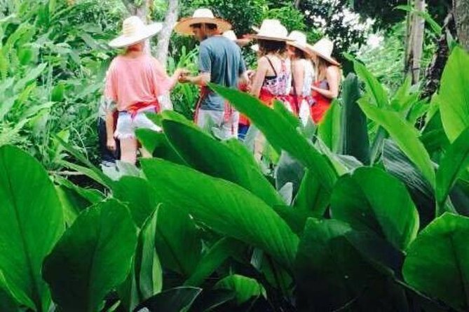 The Taste Of Chiang Mai - Exploring Local Food Markets