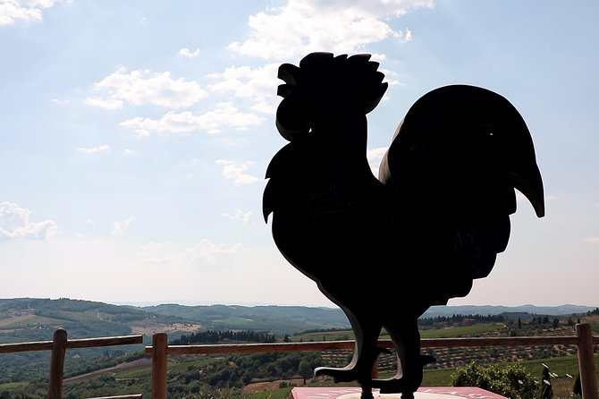 The Taste of Chianti:A Wine and Gourmet Private Tour With a Truffle-Based Lunch - Tour Highlights