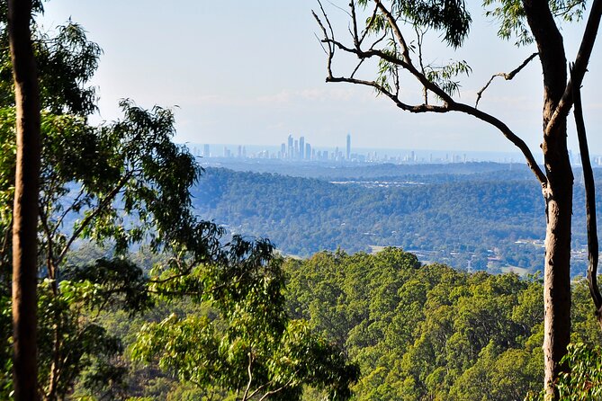 The Tastes of Tamborine Mountain - Gourmet Food and Specialty Shops