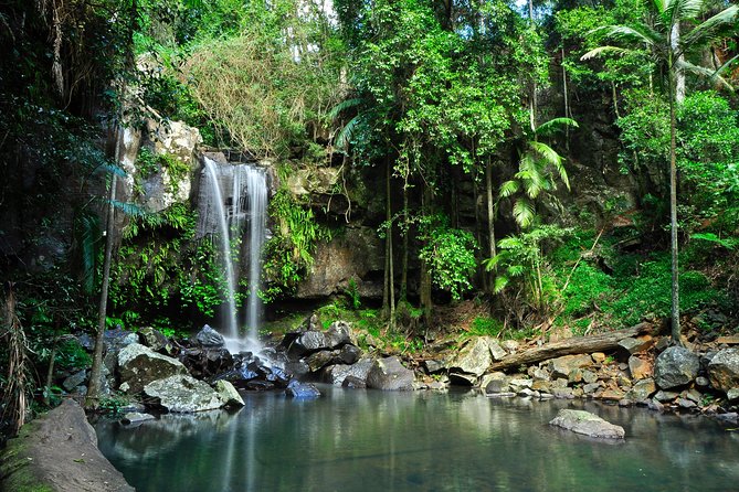 The Tastes of Tamborine Mountain - Unique Culinary Experiences