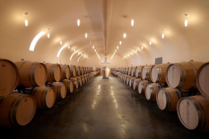 The Tasting Tour at Château De La Dauphine - Tour Highlights