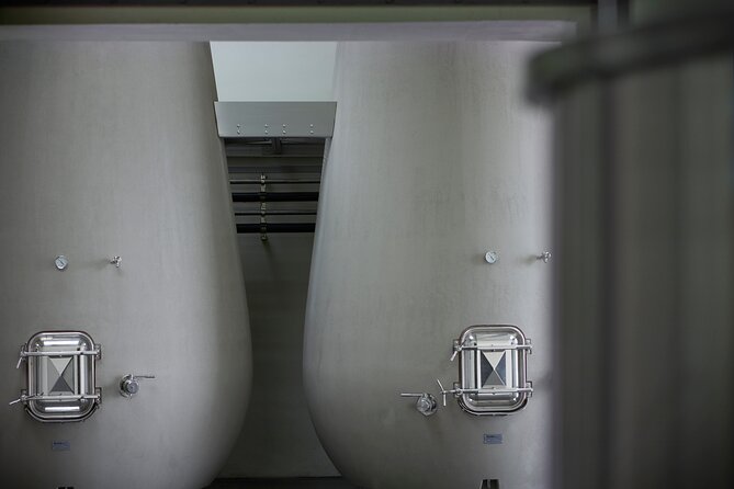 The Tasting Tour at Château De La Dauphine - Tasting Experience