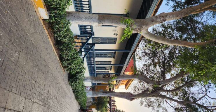 The Tasty and Colourful Lima Tour! - Culinary Delights