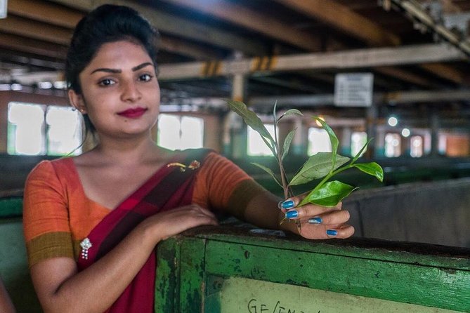 The Tea Hubs of Srilanka - Good To Know