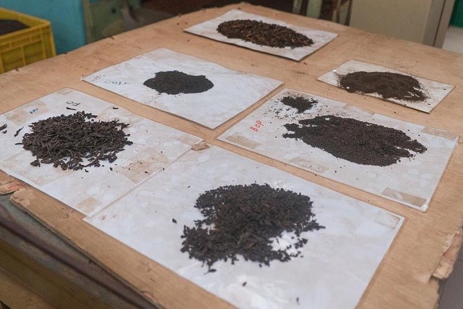 The Tea Hubs of Srilanka - Pricing and Reservation Details