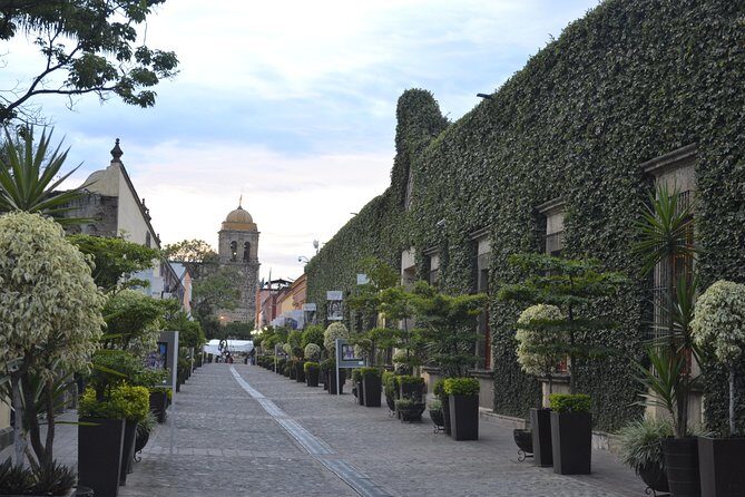 The Tequila Root - The Tequila Root  