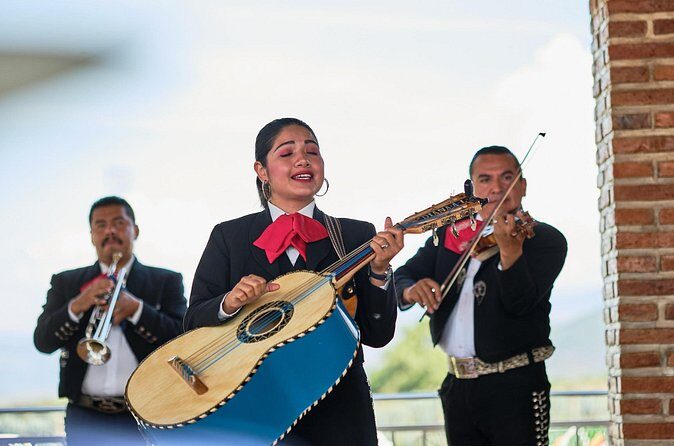 The Tequila Root - The Sum Up  