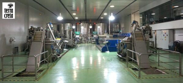 The Terra Creta Olive Oil Experience Tour - Inclusions