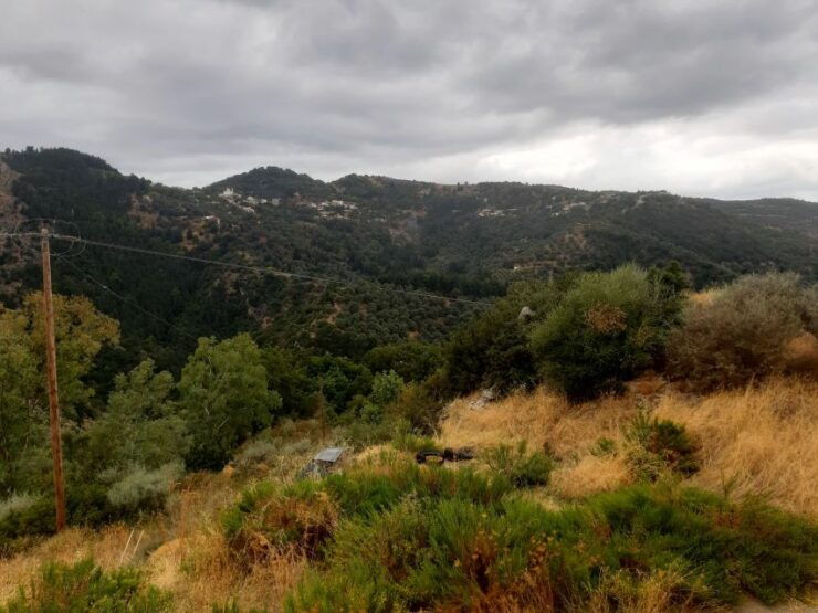 The Theriso Gorge and Village E-Bike Adventure - Experience Highlights