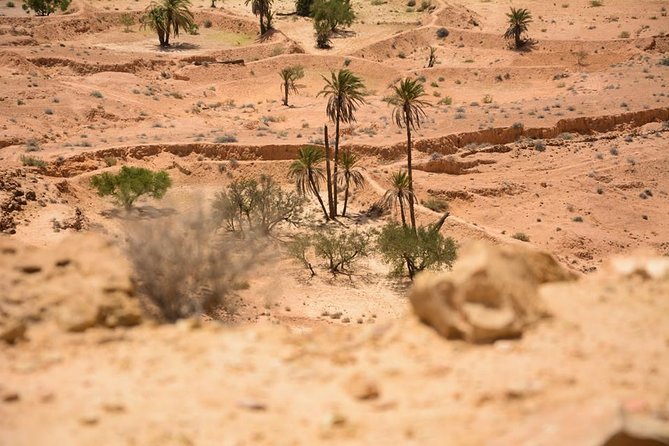 The Three Desert and Mountain Oases - Majestic Desert Oasis