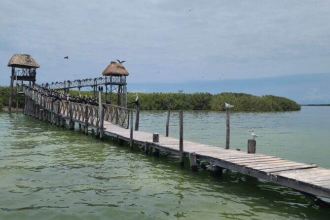 The Three Islands Tour Explore Holbox's Natural Wonders - Summary: Who Is This Tour Best For?
