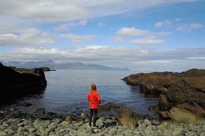 The Tiniest Town Tour in Mjoifjordur Fjord - History and Background of Mjoifjordur Fjord