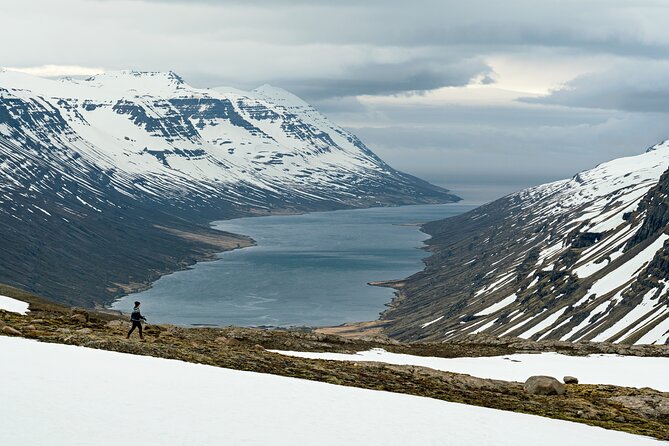 The Tiniest Town Tour in Mjoifjordur Fjord - Activities and Things to Do in Mjoifjordur Fjord