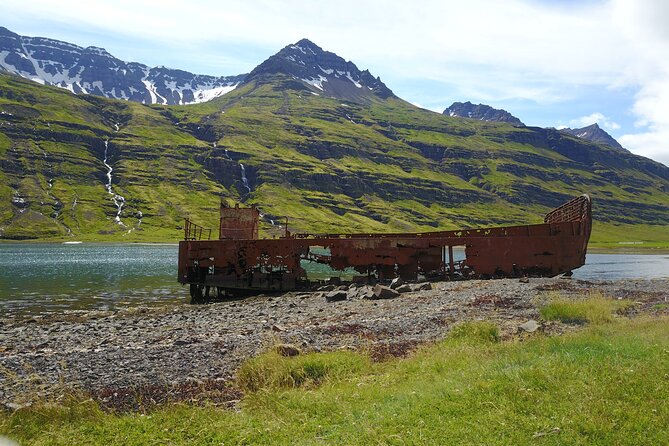 The Tiniest Town Tour in Mjoifjordur Fjord - Local Cuisine and Dining Options in the Area
