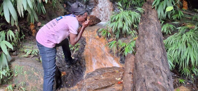 The Tobago Rainforest Tour - Good To Know