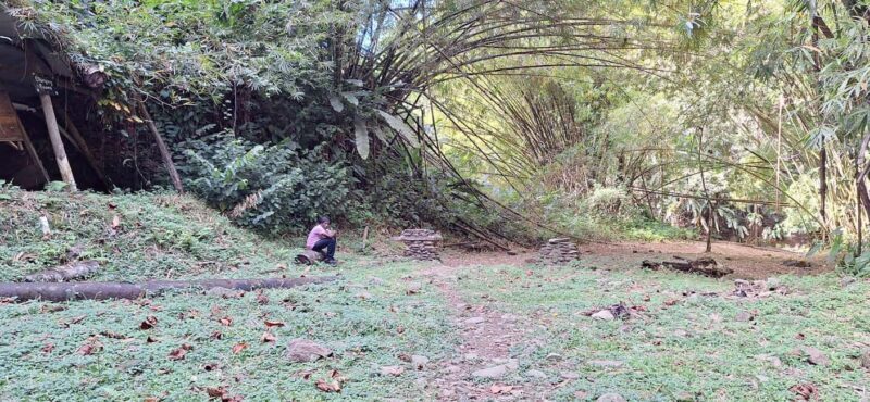 The Tobago Rainforest Tour - Waterfall Swim at Parlatuvier: Refreshing and Relaxing