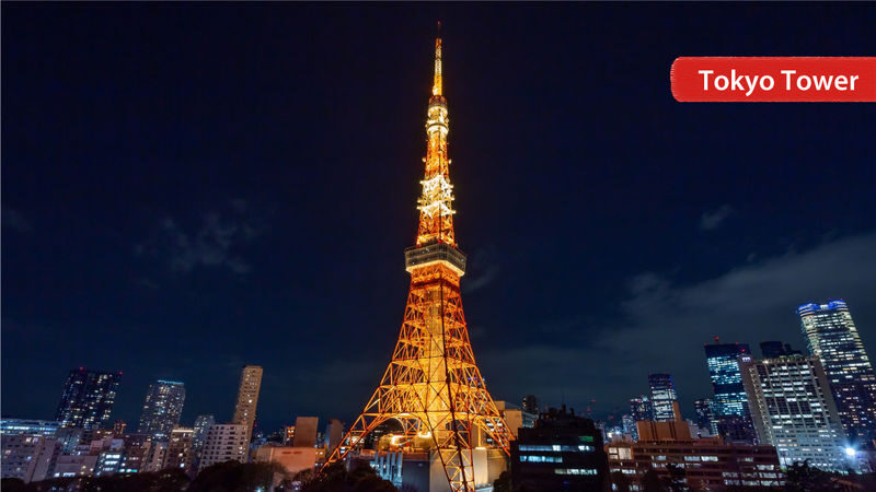 THE TOKYO PASS - Should you book it?