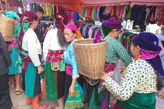 The Top Ha Giang Motorbike Tours All-Inclusive - Child Policy and Itinerary