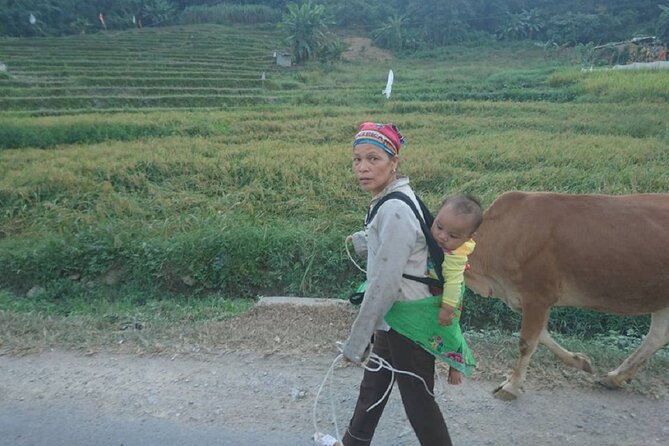 The Top Ha Giang Motorbike Tours All-Inclusive - Customer Reviews and Ratings