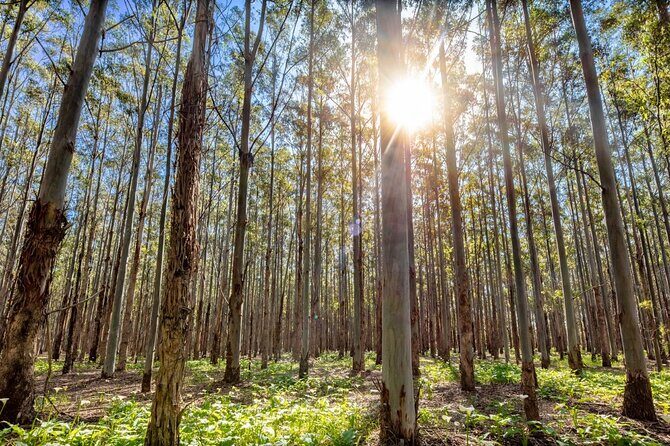 The Top-Tier Tour - Who Should Consider This Tour?