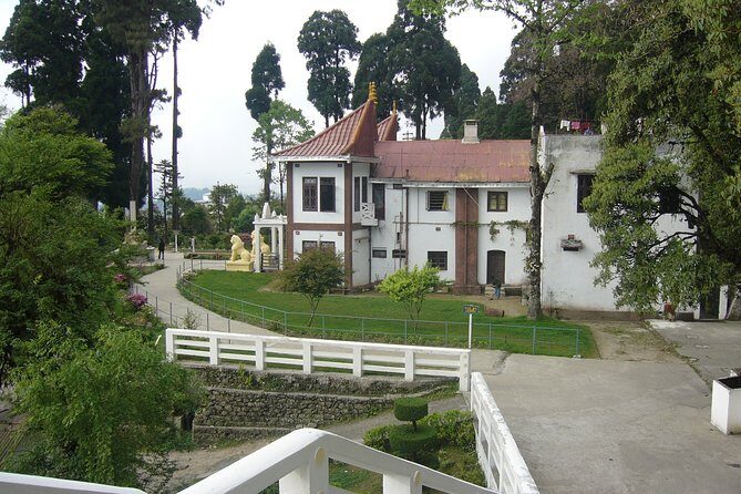 The Travel Tart (5 Point). - Practical Details and Tips