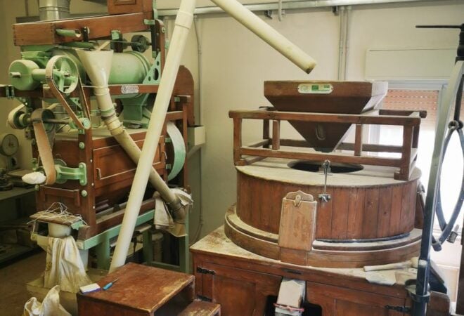 The Treasures of the Nisseno: Oil, Wine, Cheese, and Cuddrireda - Pricing Information