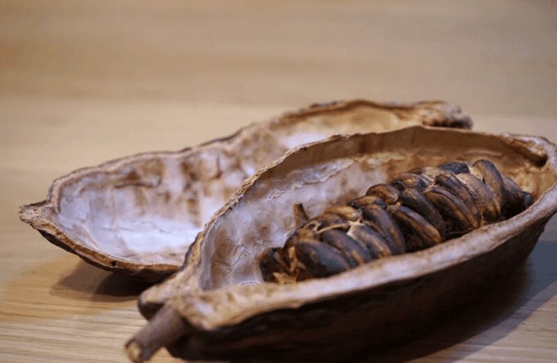 The Turin Chocolate Tasting Experience - Review Highlights & Authentic Feedback