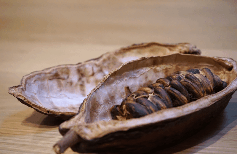 The Turin Chocolate & Wine Tasting Experience - Itinerary Highlights