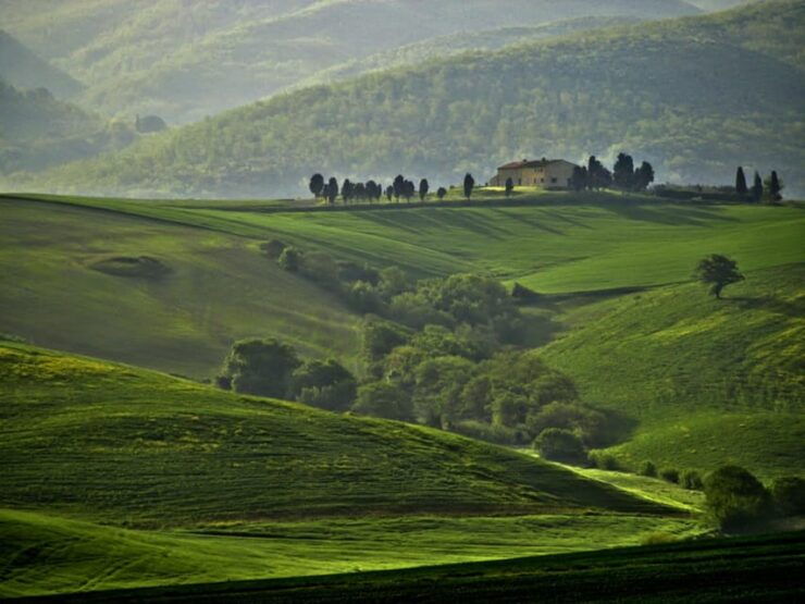 The Tuscan Lavender Field - Tour Inclusions