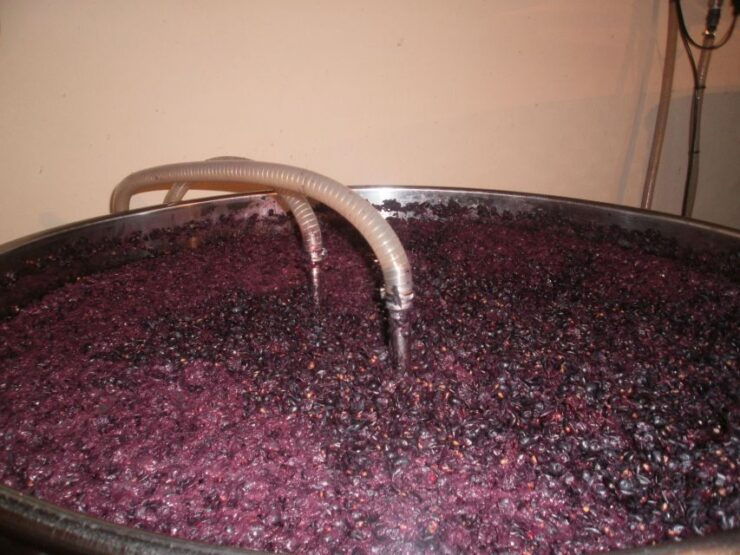 The Two Antiguas: Tour With Wine Tasting - Activity Duration