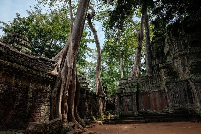 The Ultimate Angkor Wat Temple Private Day Trip - Private Transportation and Comfort