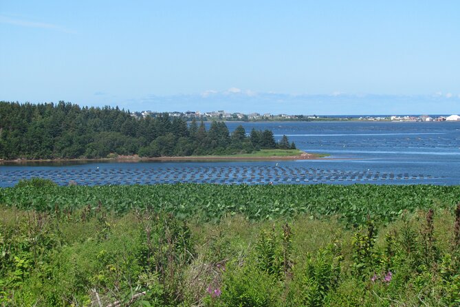 The Ultimate Anne of Green Gables Private Tour - Common Questions