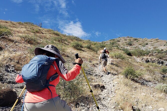 The Ultimate Camel Safari Experience in Los Cabos - Good To Know