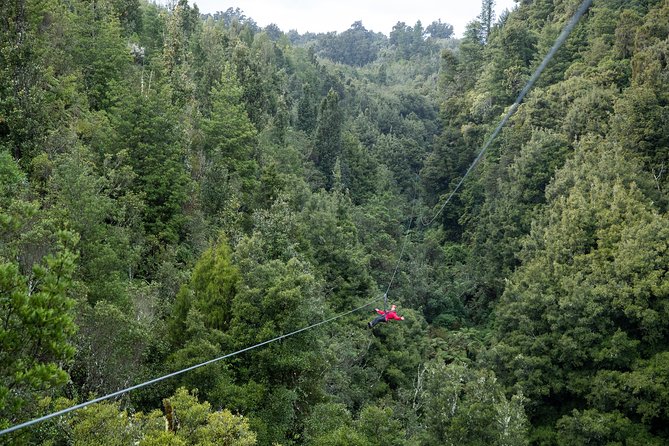 The Ultimate Canopy Zipline Experience Private Tour From Auckland - Inclusions