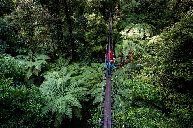 The Ultimate Canopy Zipline Experience Private Tour From Auckland - Requirements and Recommendations
