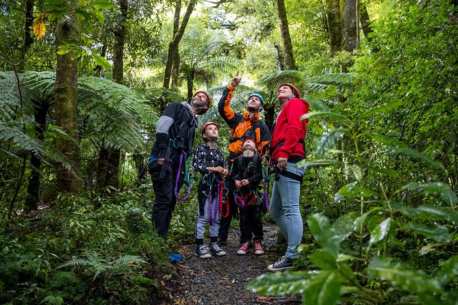 The Ultimate Canopy Zipline Experience Private Tour From Auckland - Personalized Small-group Tour