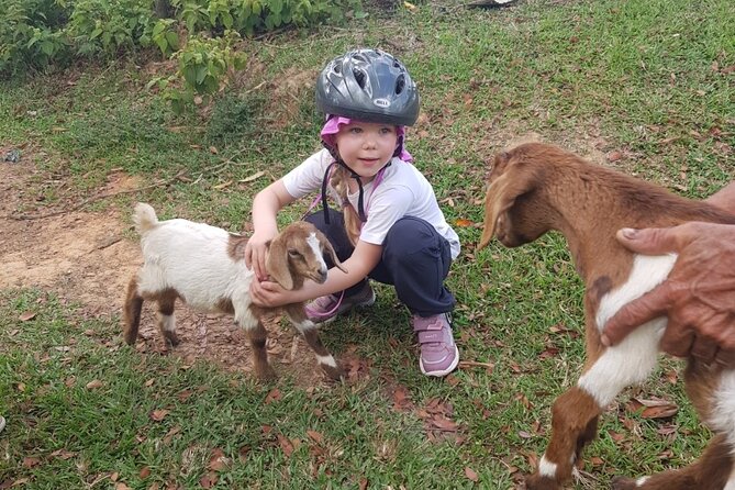 The Ultimate Dominican Horseback Riding Adventure - Food and Refreshments