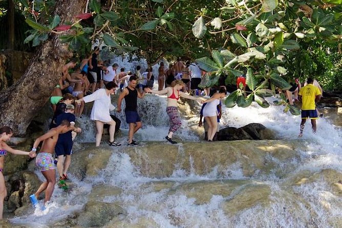 The Ultimate Dunns River Falls & Blue Hole Combo (Private Tour) - Pricing and Booking Details