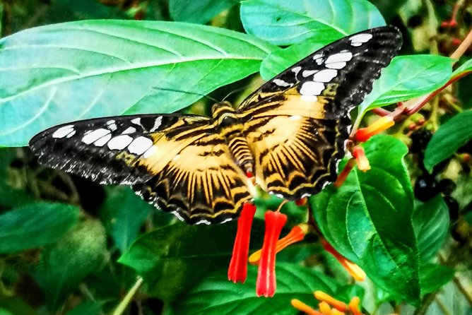 The Ultimate Group Package Tour of Victoria - Meeting and Pickup Information