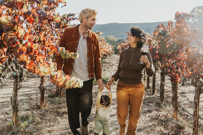 The Ultimate Napa and Sonoma Wine Tour - Transportation and Logistics